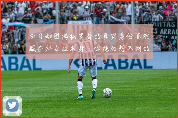 今日趣图揭秘罗哥的真实身份竟然藏在拜合拉木身上你绝对想不到的真相