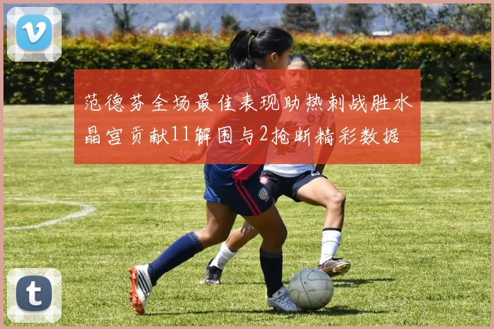 范德芬全场最佳表现助热刺战胜水晶宫贡献11解围与2抢断精彩数据