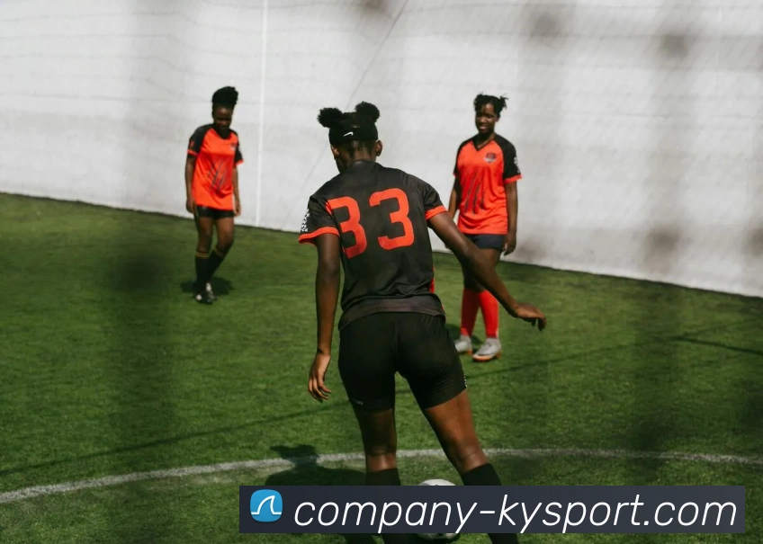 开云体育APP 高清赛事图